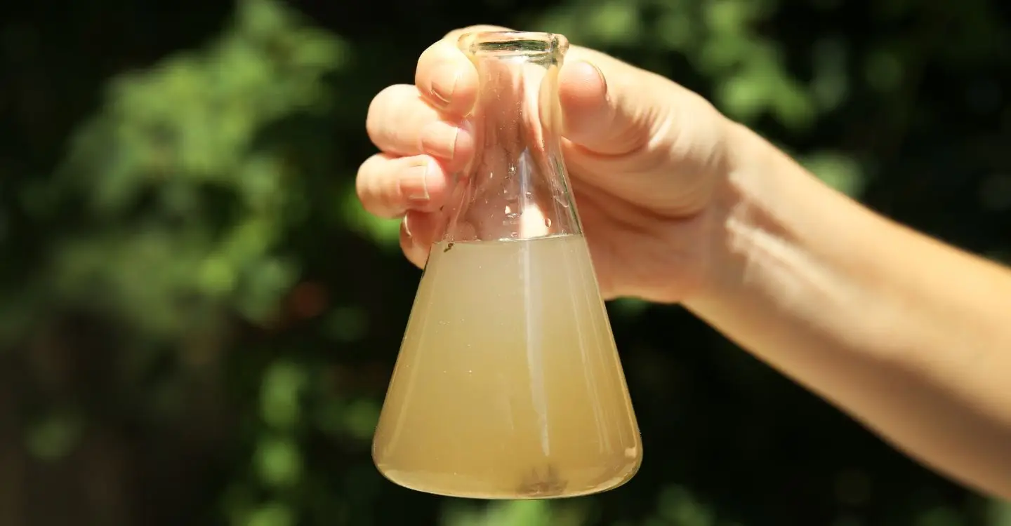 The Most Common Water Quality Issues in Older Homes